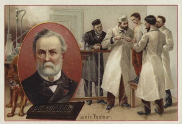 Louis Pasteur, chimico e microbiologo francese